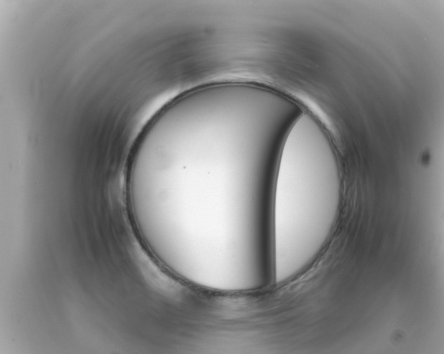 X0000092051468200709121015