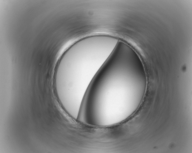 X0000092051469200709121015