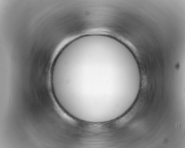 X0000092051470200709121015