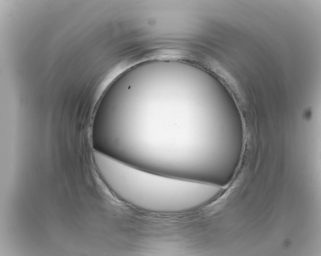 X0000092051473200709121015