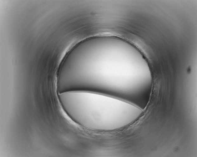 X0000092051476200709121015