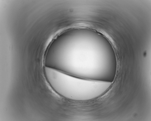 X0000092051477200709121015