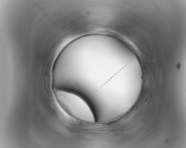X0000092051479200709121015