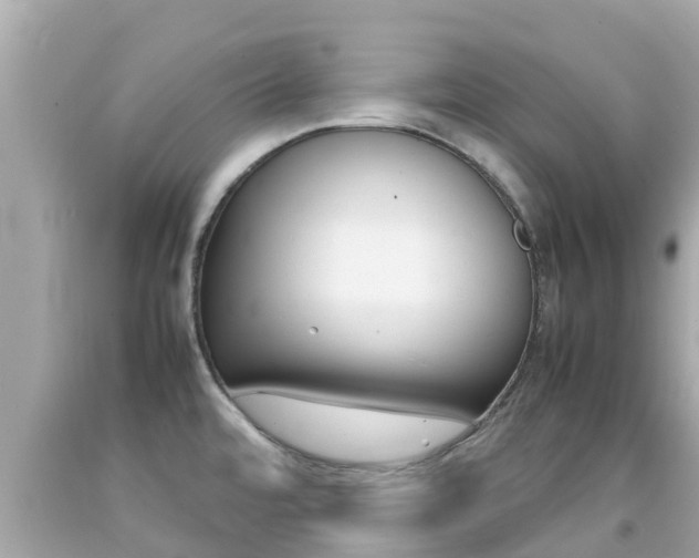 X0000092051480200709121015