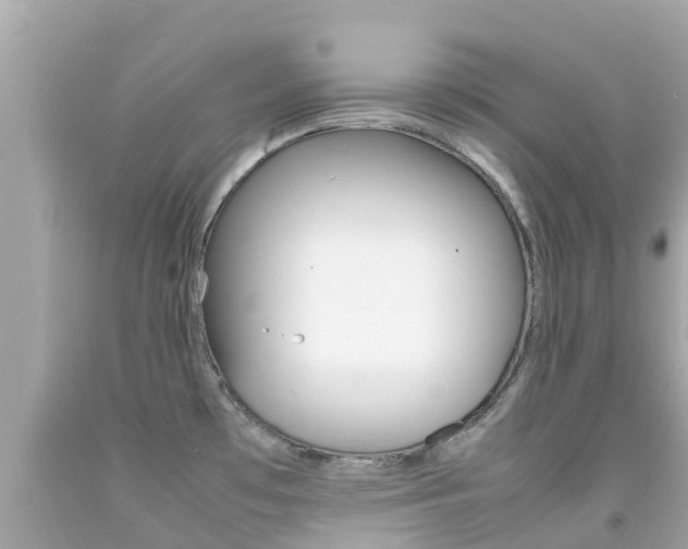 X0000092051481200709121015