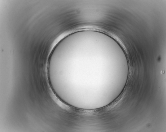 X0000092051482200709121015