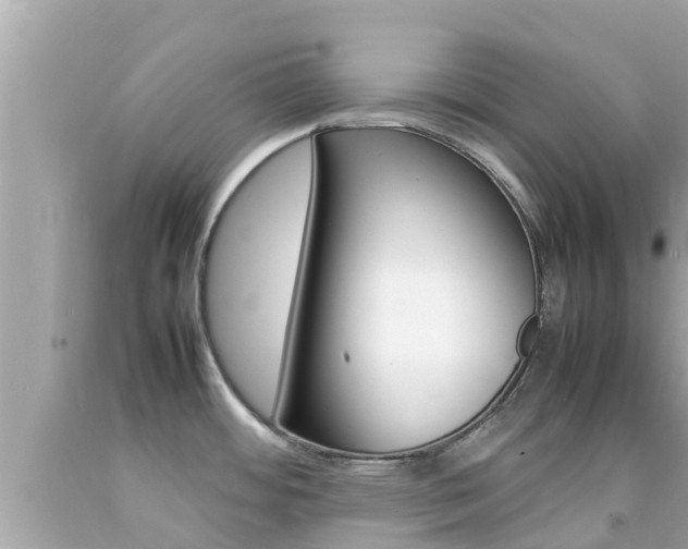 X0000092051484200709121015