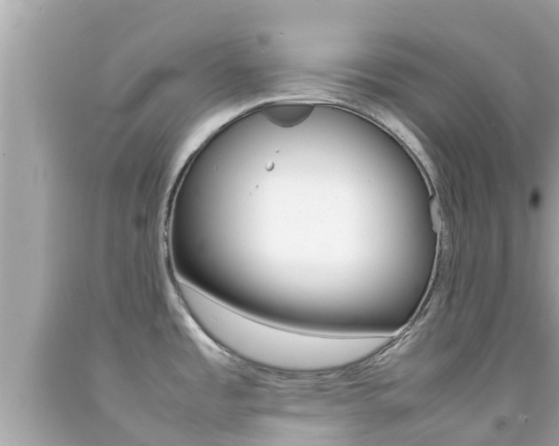 X0000092051485200709121015