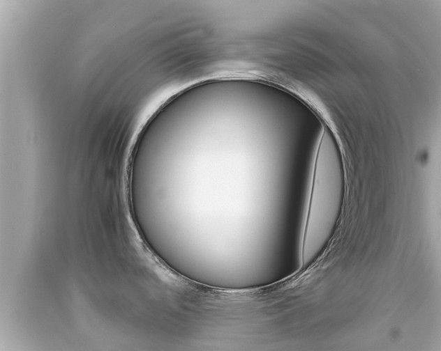 X0000092051488200709121015
