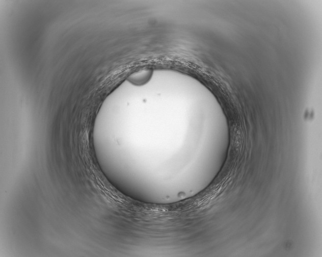 X0000092051489200709121014