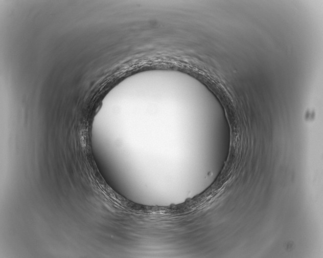 X0000092051490200709121014