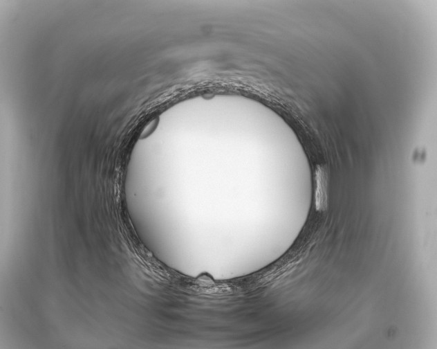 X0000092051491200709121014