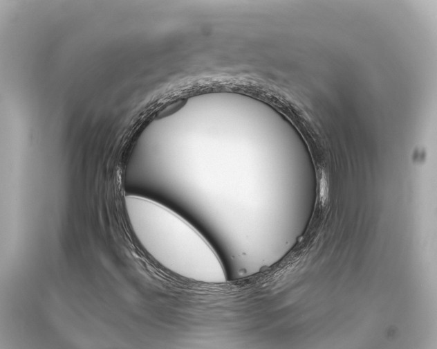 X0000092051492200709121014