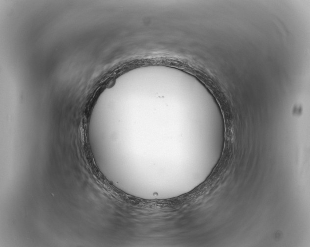 X0000092051493200709121014