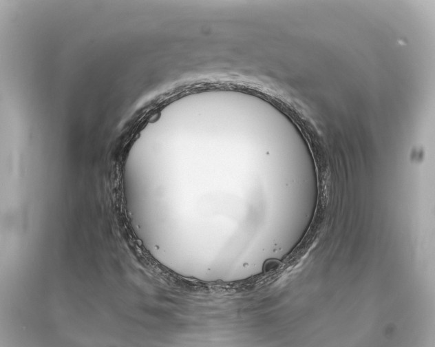 X0000092051494200709121014