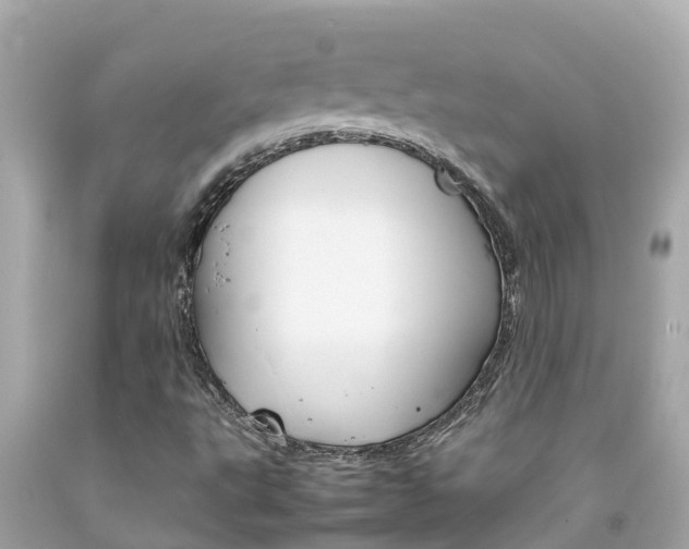 X0000092051495200709121014