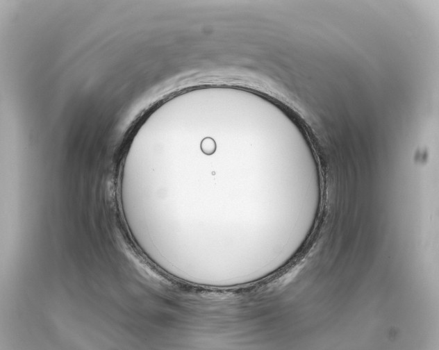 X0000092051498200709121014