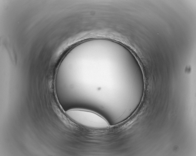 X0000092051499200709121014