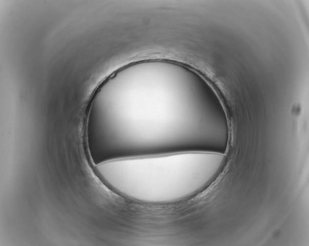 X0000092051500200709121015