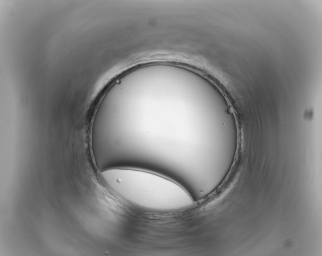 X0000092051501200709121015