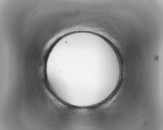 X0000092051502200709121015