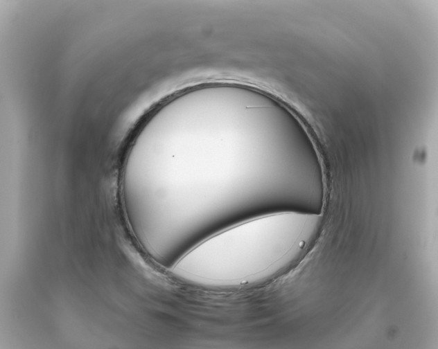 X0000092051503200709121015
