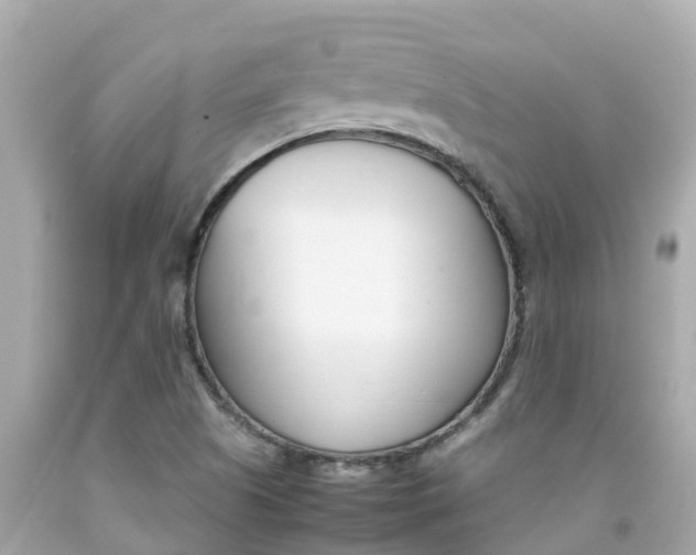 X0000092051505200709121015