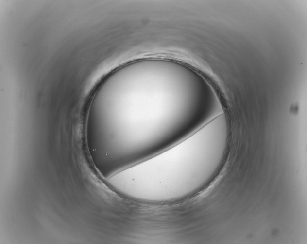 X0000092051506200709121015