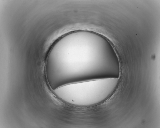 X0000092051507200709121015