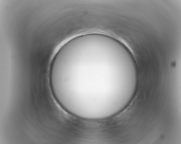 X0000092051508200709121015