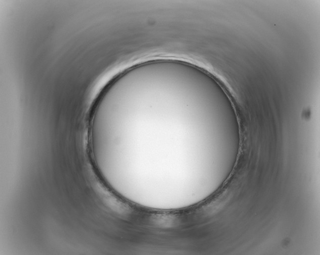 X0000092051511200709121015