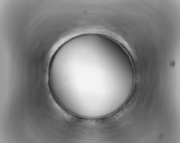 X0000092051512200709121015