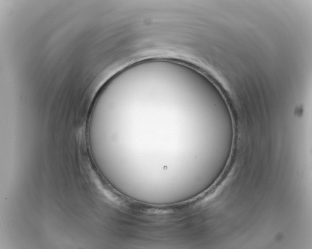 X0000092051513200709121015