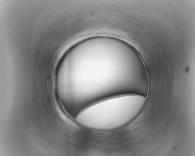 X0000092051515200709121015