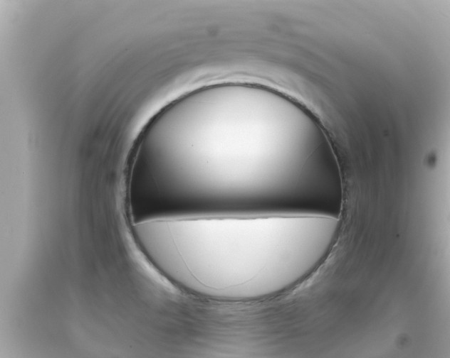 X0000092051518200709121015
