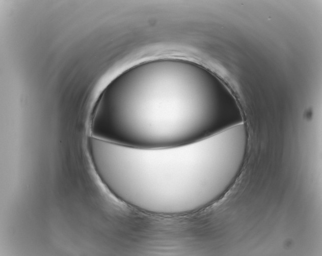 X0000092051520200709121015