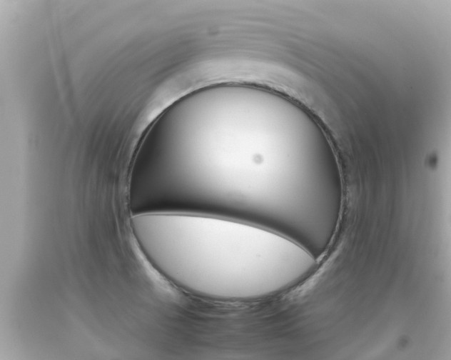 X0000092051521200709121015