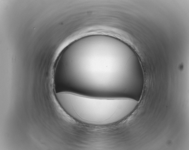 X0000092051522200709121015