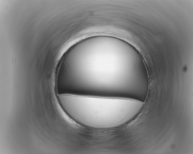 X0000092051523200709121015