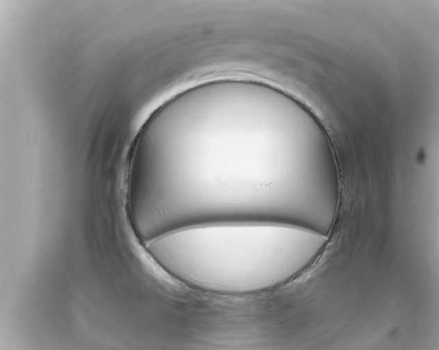 X0000092051526200709121015
