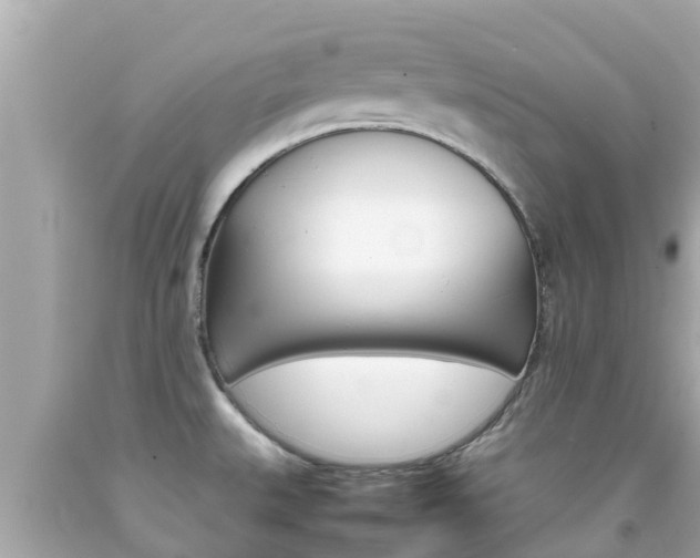 X0000092051527200709121015