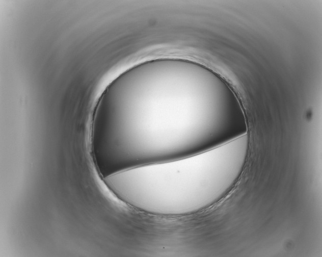 X0000092051528200709121015