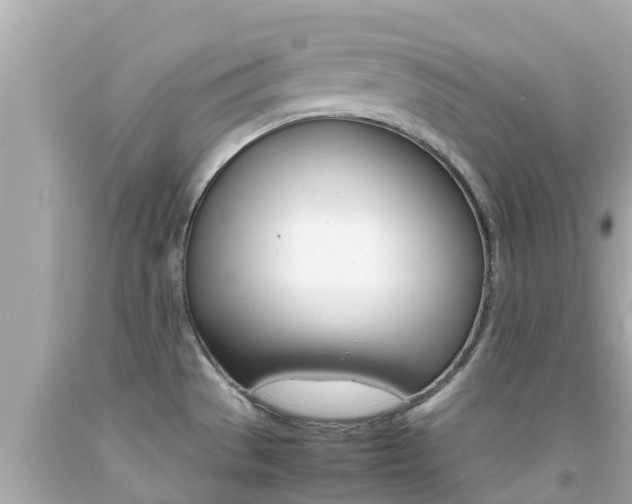 X0000092051529200709121015