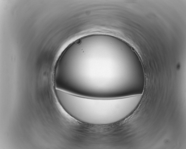 X0000092051531200709121015