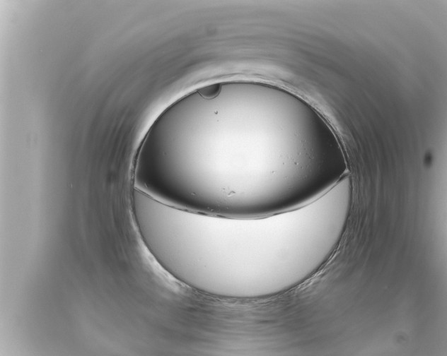 X0000092051532200709121015