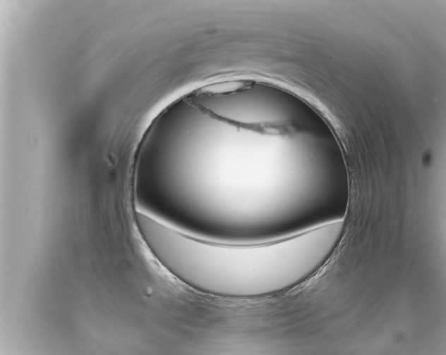 X0000092051534200709121015