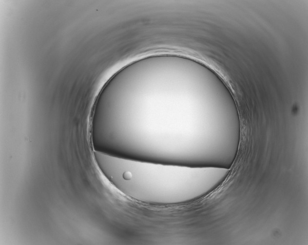 X0000092051535200709121015