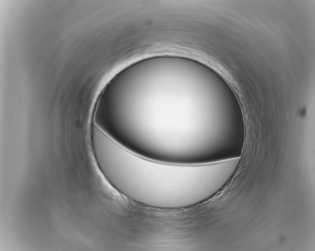 X0000092051536200709121015
