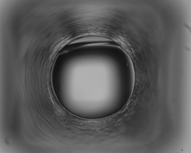 X0000092050001200709121221