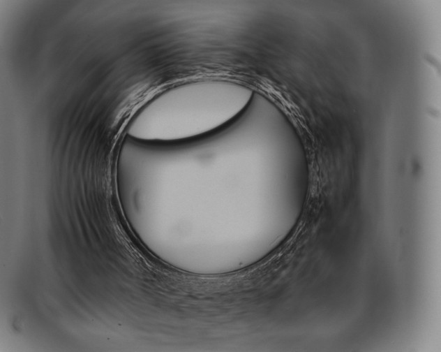 X0000092050002200709121221